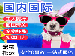 滋润机场物流国际宠物托运 【国